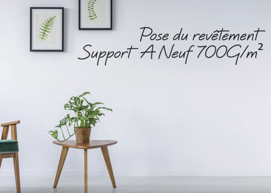 pose-video-support-a-neuf-700g